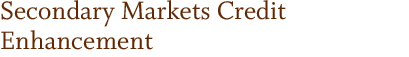 Secondary Markets Credit Enhancement